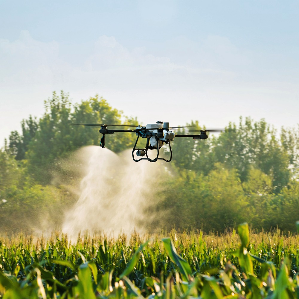 Permetező drón munka közben
