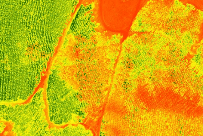 Szántóföldi felmérés