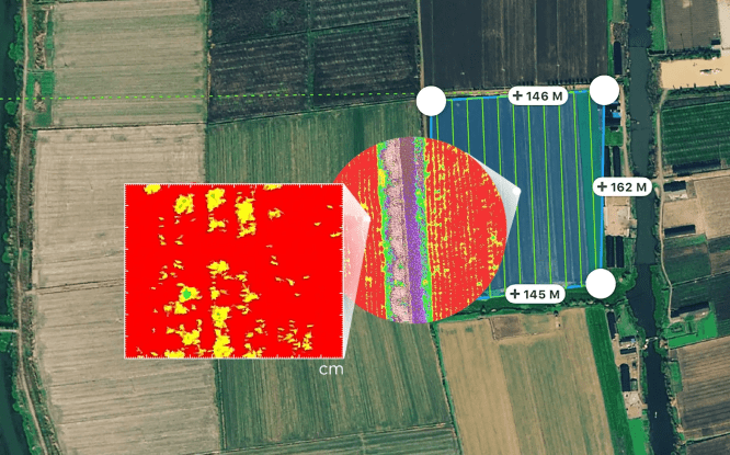 Gyümölcsös felmérés